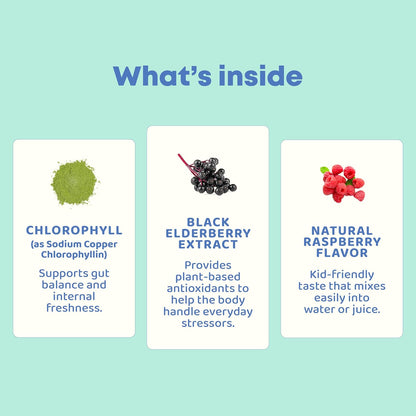 JoySpring Liquid Chlorophyll Drops for Kids | Super Greens for Kids Infused with Elderberry & Chlorophyll for Bad Breath | Sugar Free Body Deodorizing Supplement (1 fl oz, Berry Flavor, 30 Servings)